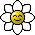 {#Daisy} {#Daisy}